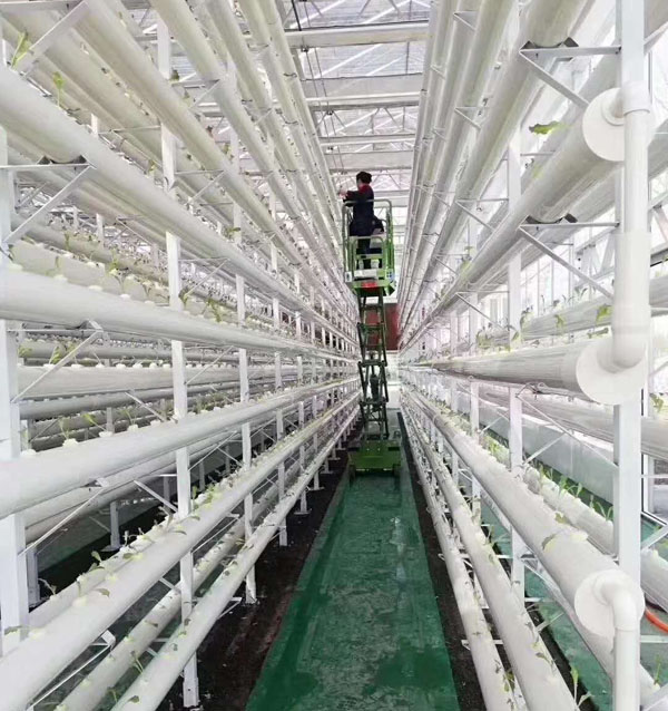 微型自行走液壓升降機
